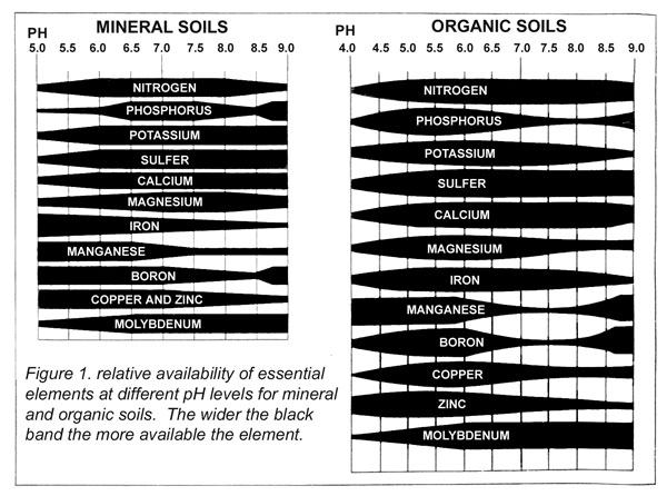 MINERAL SOILS AND ORGANIC SOILS